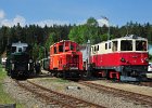 Lokparaden und Doppeltraktion 60 Jahre Diesellok 2095 (5)